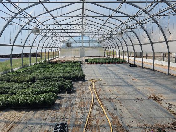 Greenhouse Gas Lines Penrose